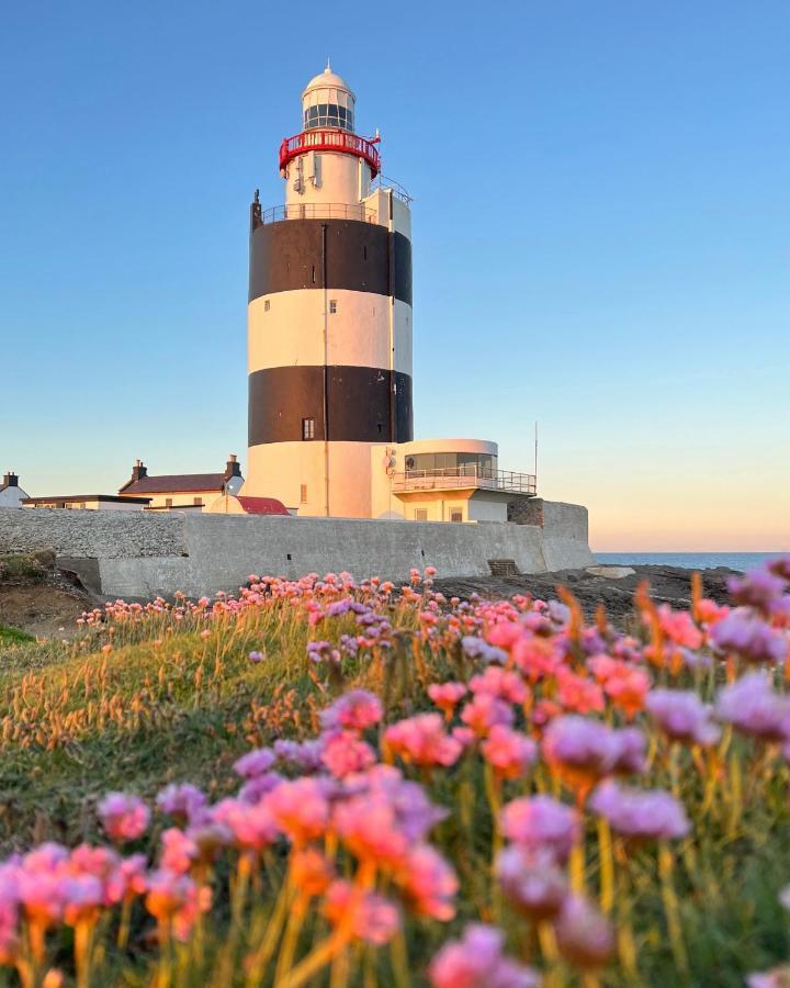 Thistledown Lodge Fethard on Sea Exterior photo